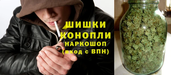 ГАЛЛЮЦИНОГЕННЫЕ ГРИБЫ Баксан