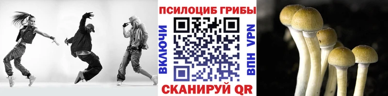 Псилоцибиновые грибы прущие грибы  наркота  Рассказово 